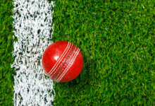 Cricket ball Adobe