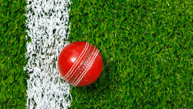 Cricket ball Adobe