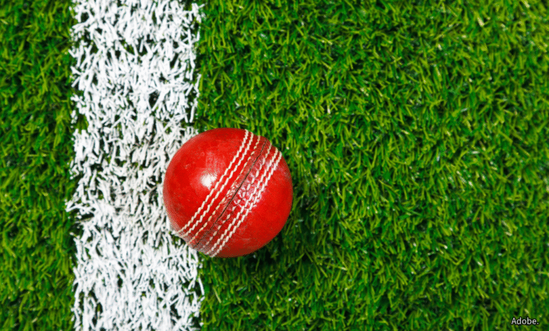 Cricket ball Adobe