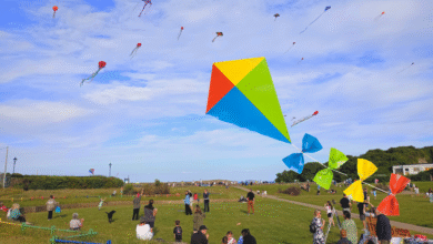 The sky at The Knap should be packed with kites.