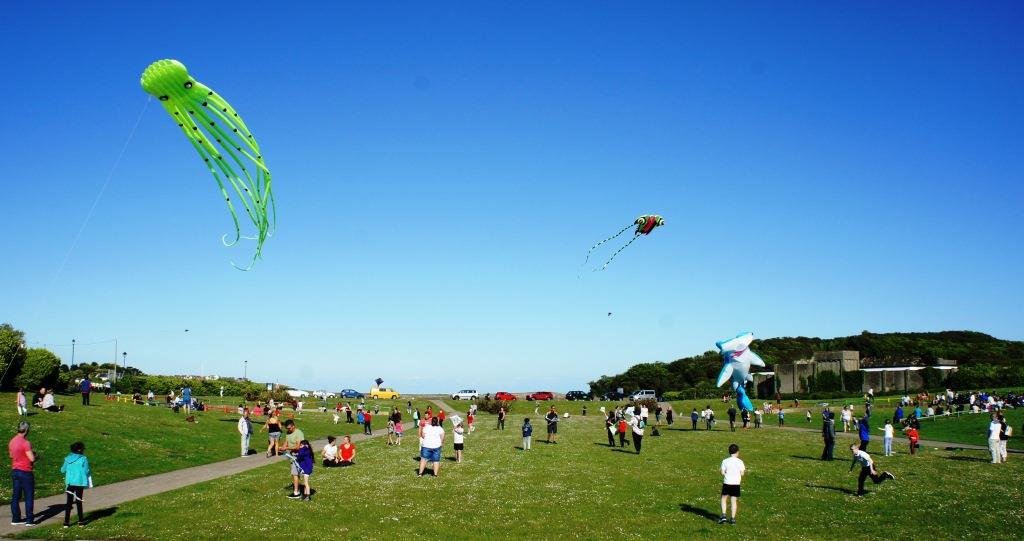 Kites in many designs will be on show.