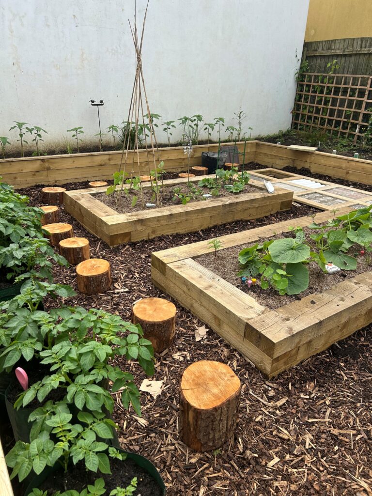The garden at All Saints.