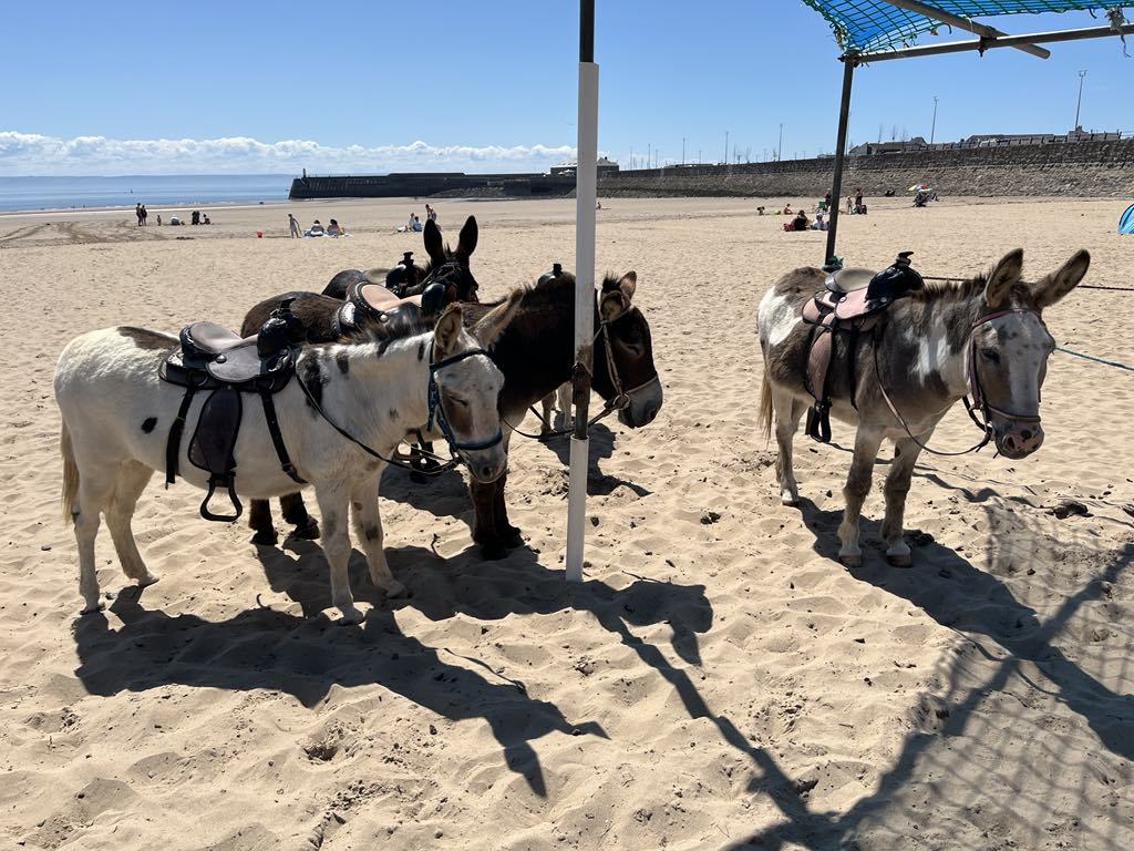 Donkey And Poney Rides along Porthcawl beach front. Photo via LDRS.