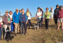 The gang, Molly and Tuppence at the eastern end of Sully Island. Photo Joy Strangward.