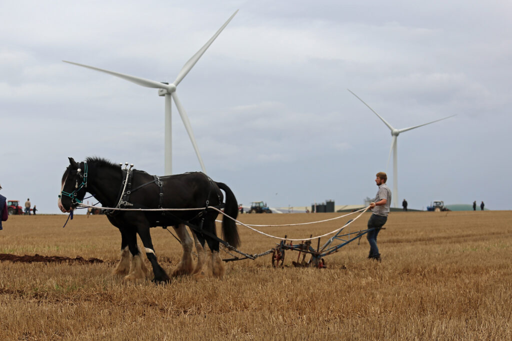 Ploughing the old -fashioned way with wind turbines in the background. Photo by Glyn Evans (ffotowales@gmail.com).