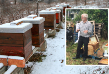 Harold Williams giving a talk to new beekeepers.