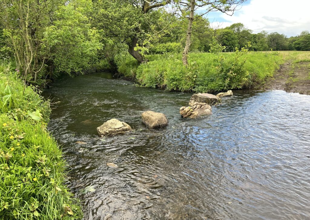 The Afon Kenfig, still clean upstream of the incident. Photo: Lewis Smith.