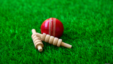 Cricket ball and wickets by Adobe.