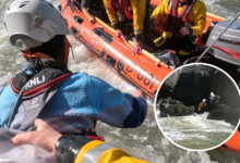 RNLI rescue.