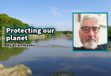 Brian Mayne