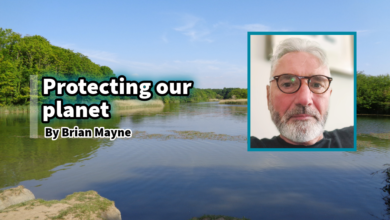 Brian Mayne