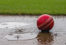 Rain cricket ball