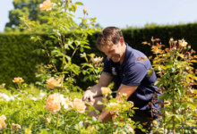 Dyffryn Gardens. Photo: James Beck.