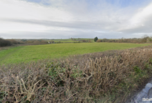 ‘Circus Field’.
