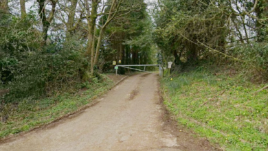 The entrance to Ty Mawr Farm. Photo: Google.
