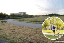 There's been a spike in reports of people being harassed and subjected to lewd comments in local parks.