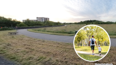 There's been a spike in reports of people being harassed and subjected to lewd comments in local parks.
