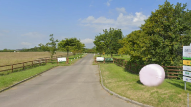 Amelia Trust Farm. Photo: Google.